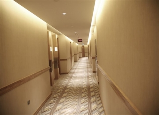 Cladding & Paneling